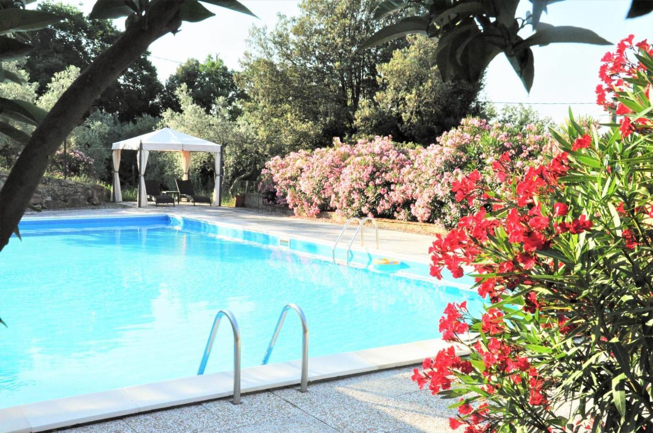 Agriturismo Pereti Roccatederighi Eksteriør billede