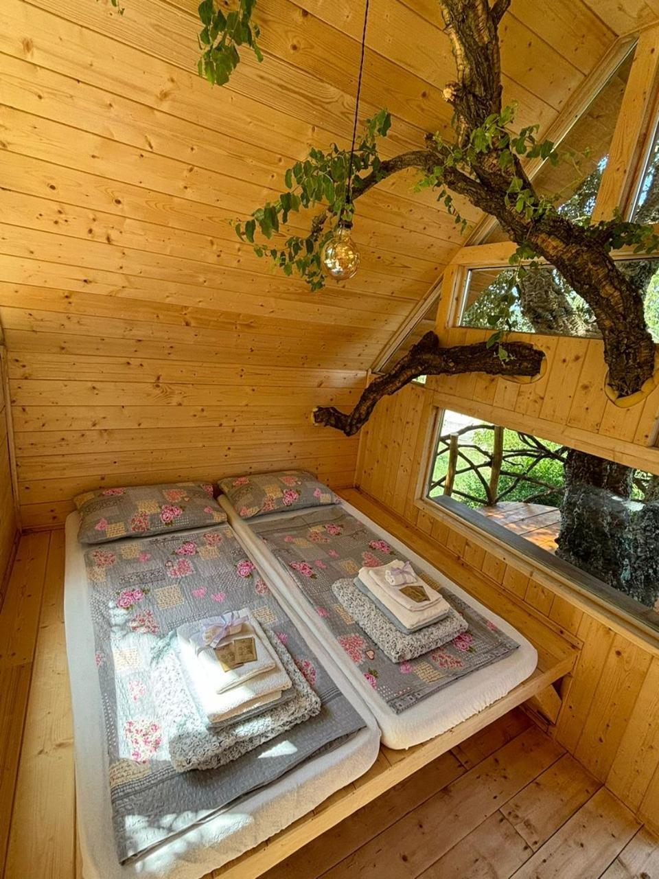 Agriturismo Pereti Roccatederighi Eksteriør billede