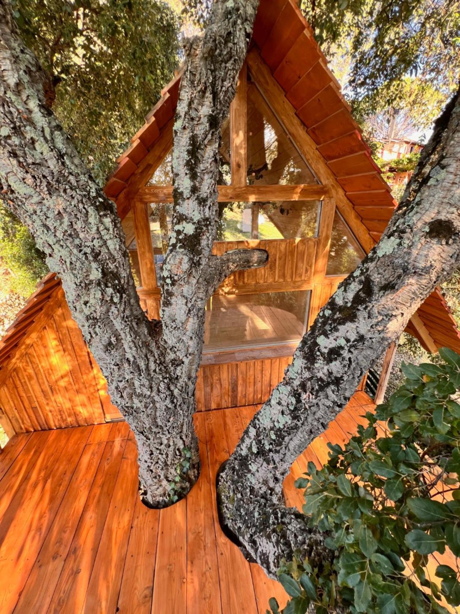 Agriturismo Pereti Roccatederighi Eksteriør billede