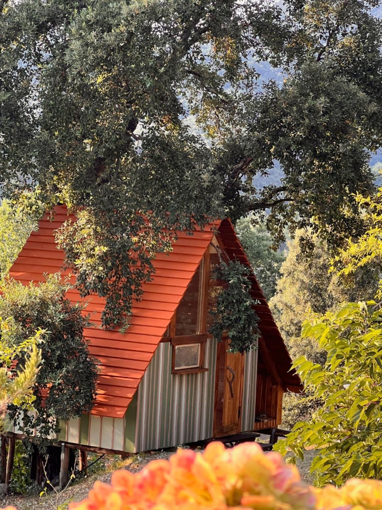 Agriturismo Pereti Roccatederighi Eksteriør billede