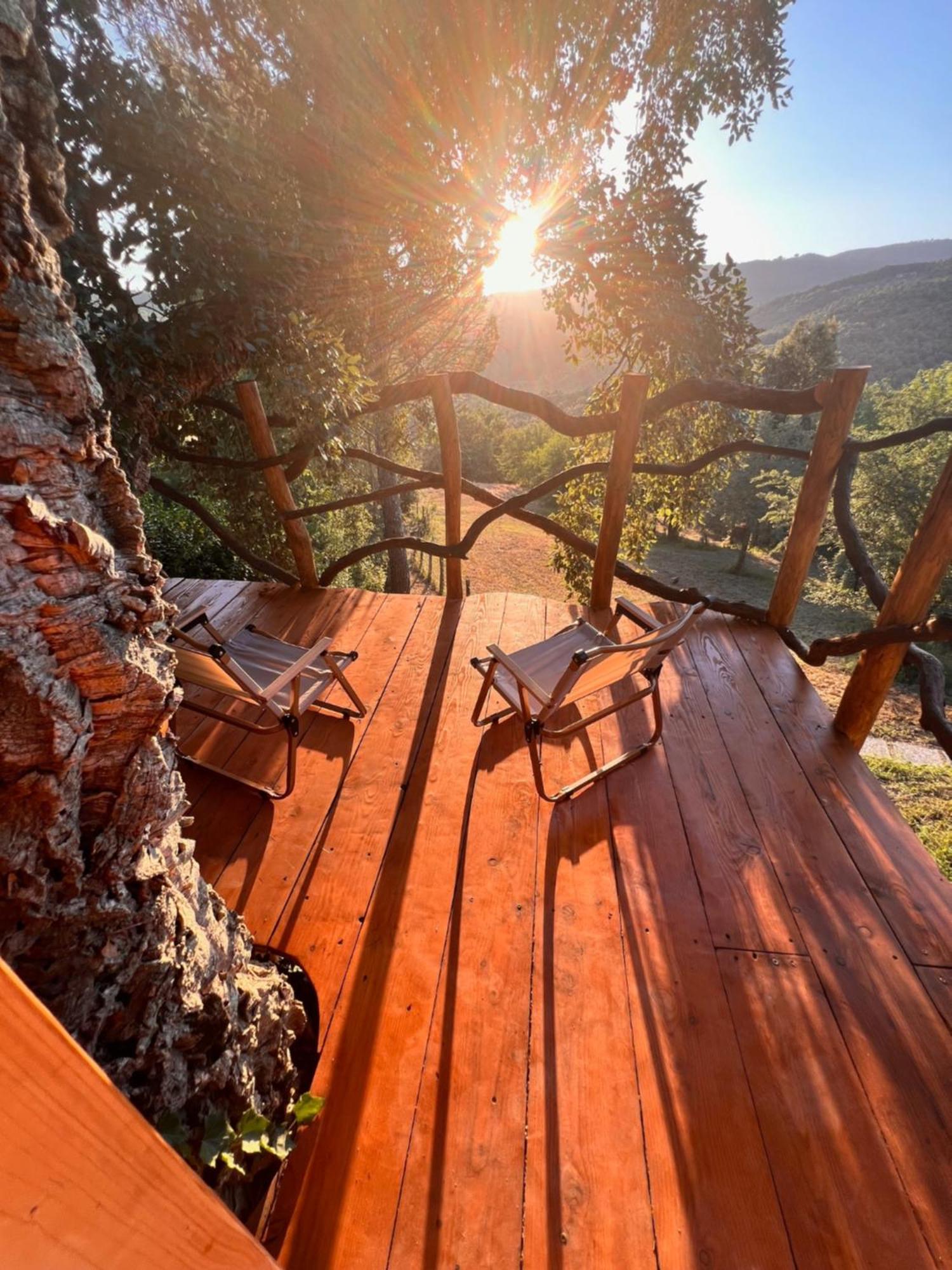 Agriturismo Pereti Roccatederighi Eksteriør billede