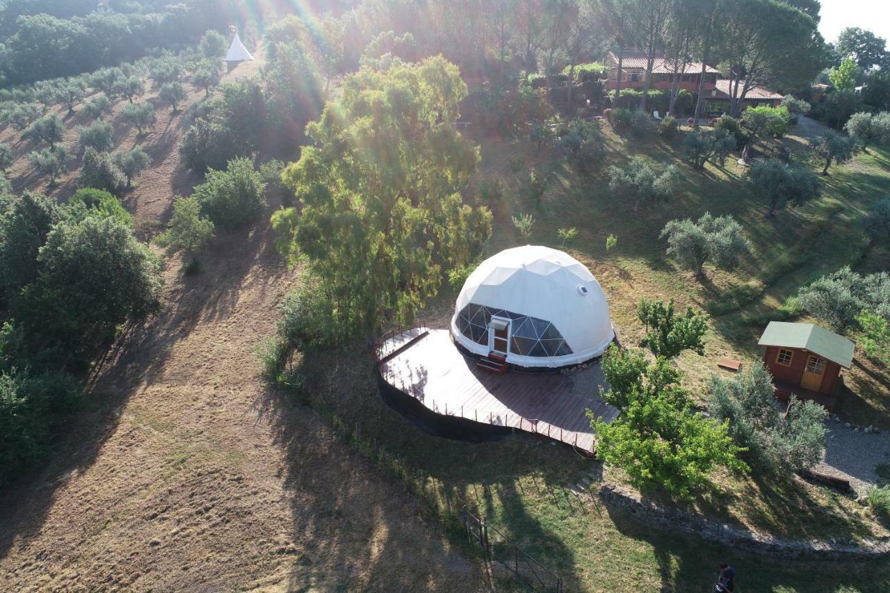 Agriturismo Pereti Roccatederighi Eksteriør billede